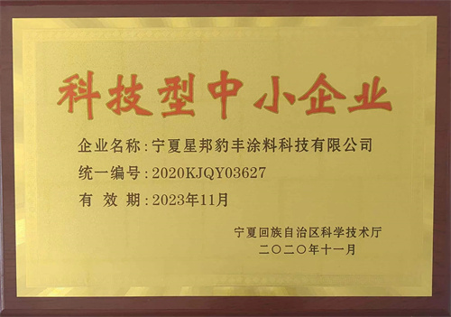 科技型中小企业